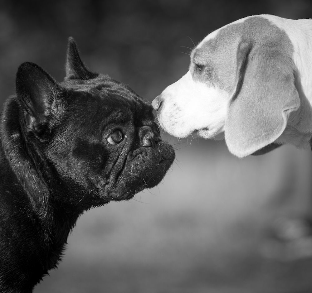 Appreciating Virtues in the Competition 